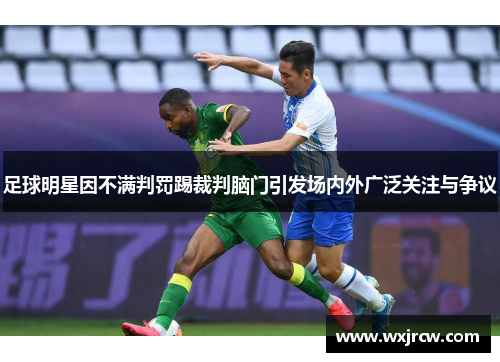 足球明星因不满判罚踢裁判脑门引发场内外广泛关注与争议