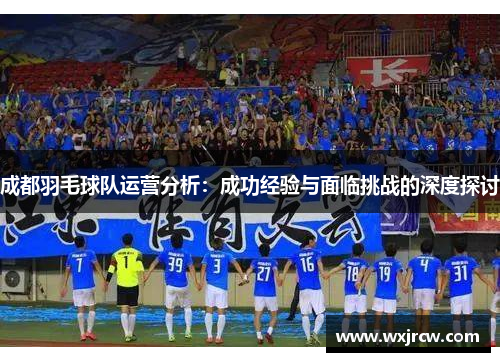 成都羽毛球队运营分析：成功经验与面临挑战的深度探讨